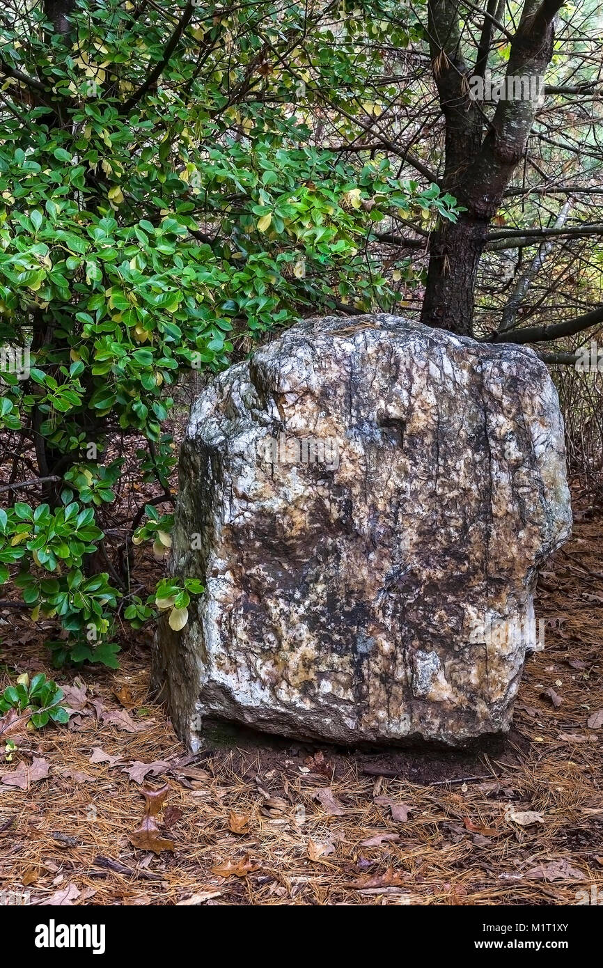 This boulder marks the spot where Stonewall Jackson fell, mortally wounded, during the Battle of Chancellorsville. Fredericksburg, Va. Stock Photo