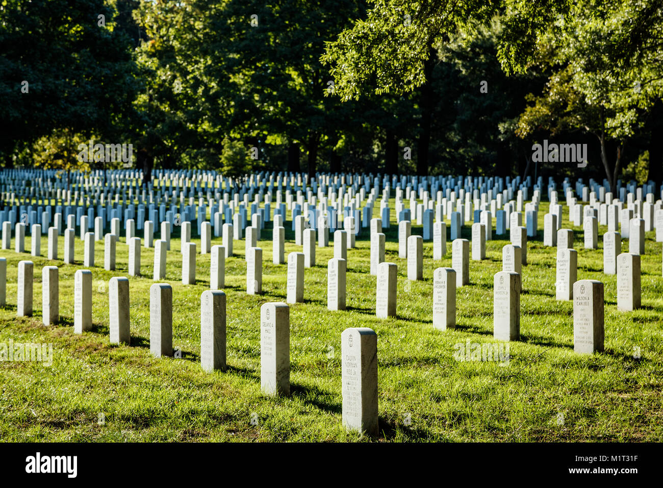 Tombstones, Arlington National Cemetery, Arlington, Virginia (Washington, District of Columbia) USA Stock Photo
