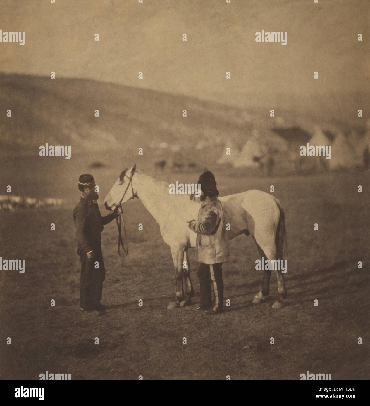 British Colonel George Clarke, Royal Scots Greys, Full-length Portrait, wearing uniform, Standing beside his Wounded Horse, Sultan and another Man with Encampment of Tents in Background, Crimean War, Crimea, Ukraine, by Roger Fenton, 1855 Stock Photo