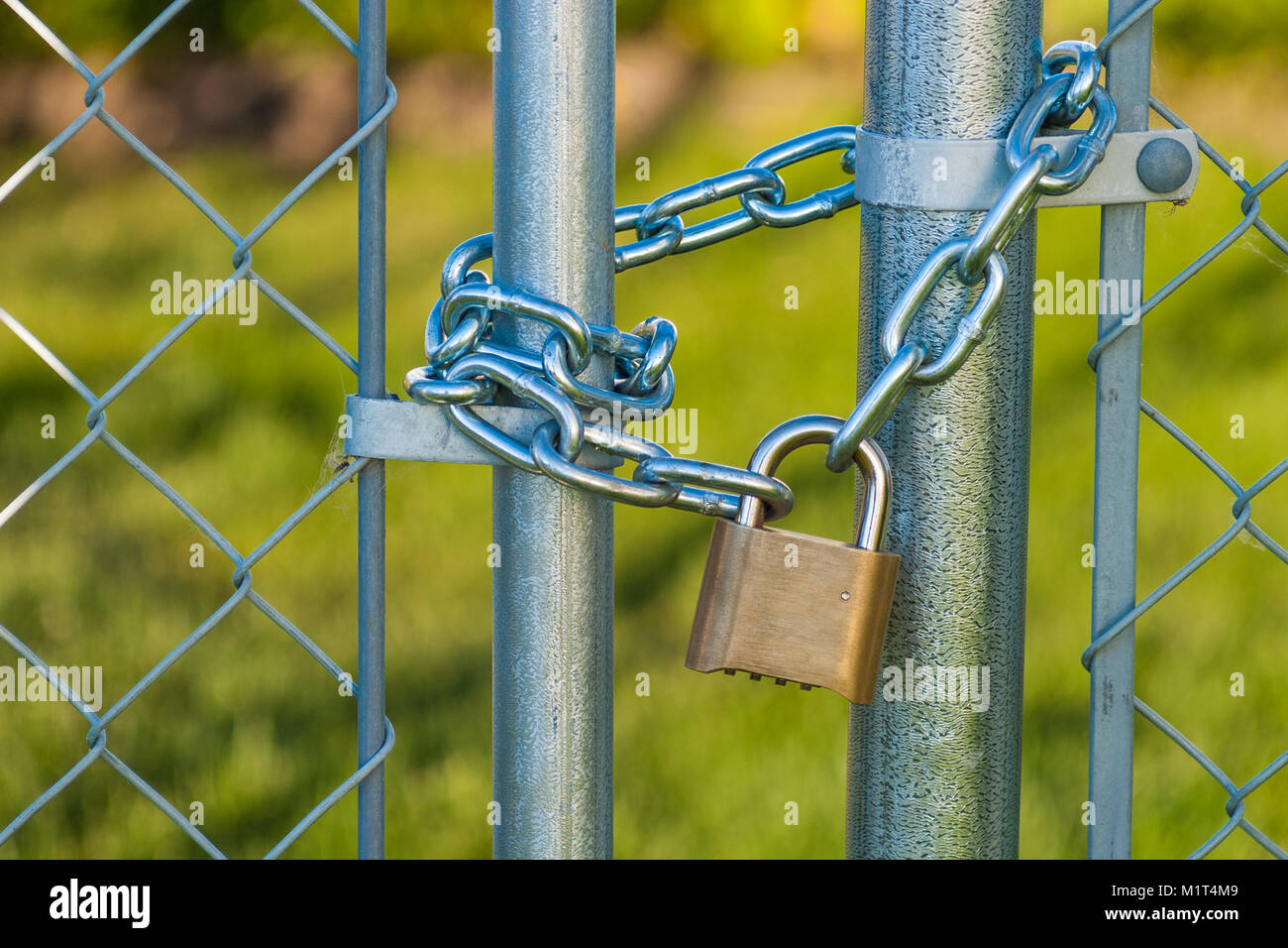 A chain and lock on a chain link fence Stock Photo Alamy