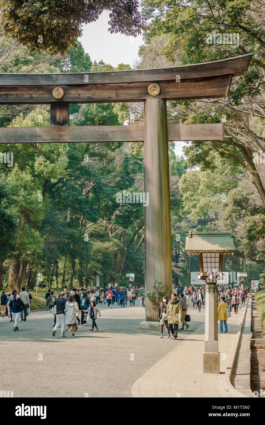 Wooded Shinto Gate Yoyogi Park (Yoyogi Koen), Shibuya, Tokyo. Stock Photo