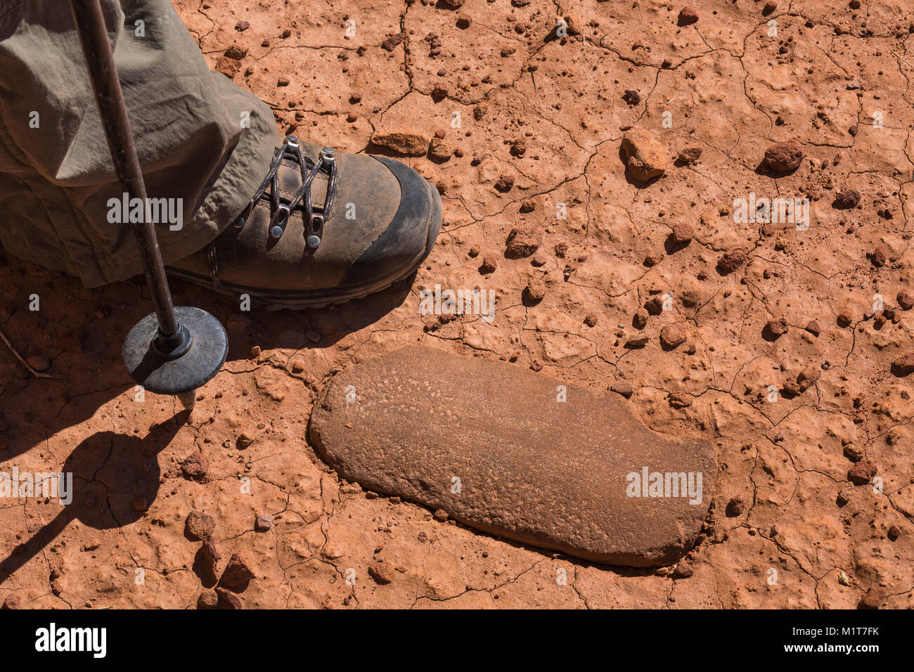 Anasazi tool hi-res stock photography and images - Alamy