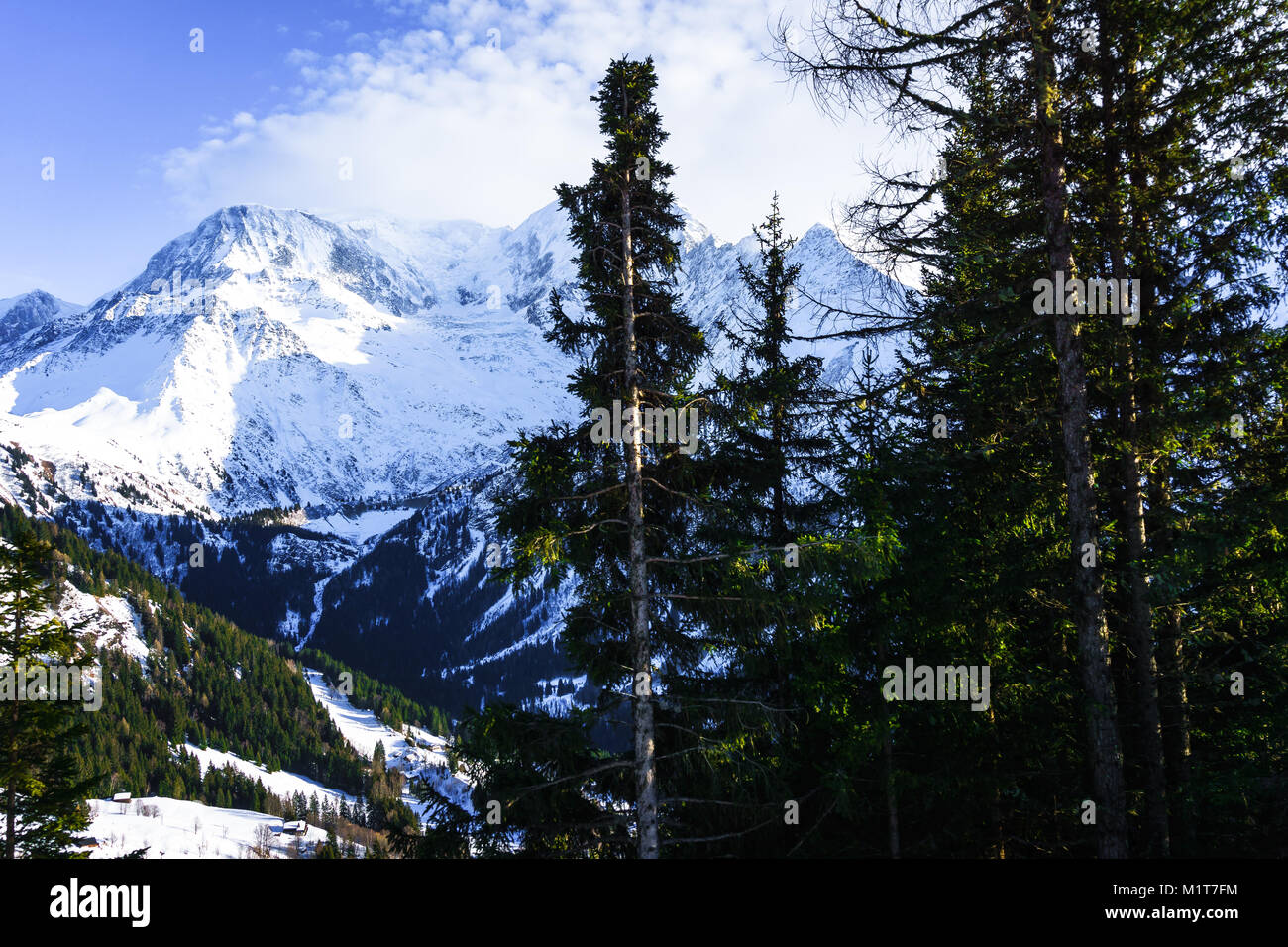 Beautiful landscape of snowy mountain view with a spruce of pine trees in Bellvue Saint-Gervais-les-Bains. Alps mountaintop near Mont Blanc. Stock Photo