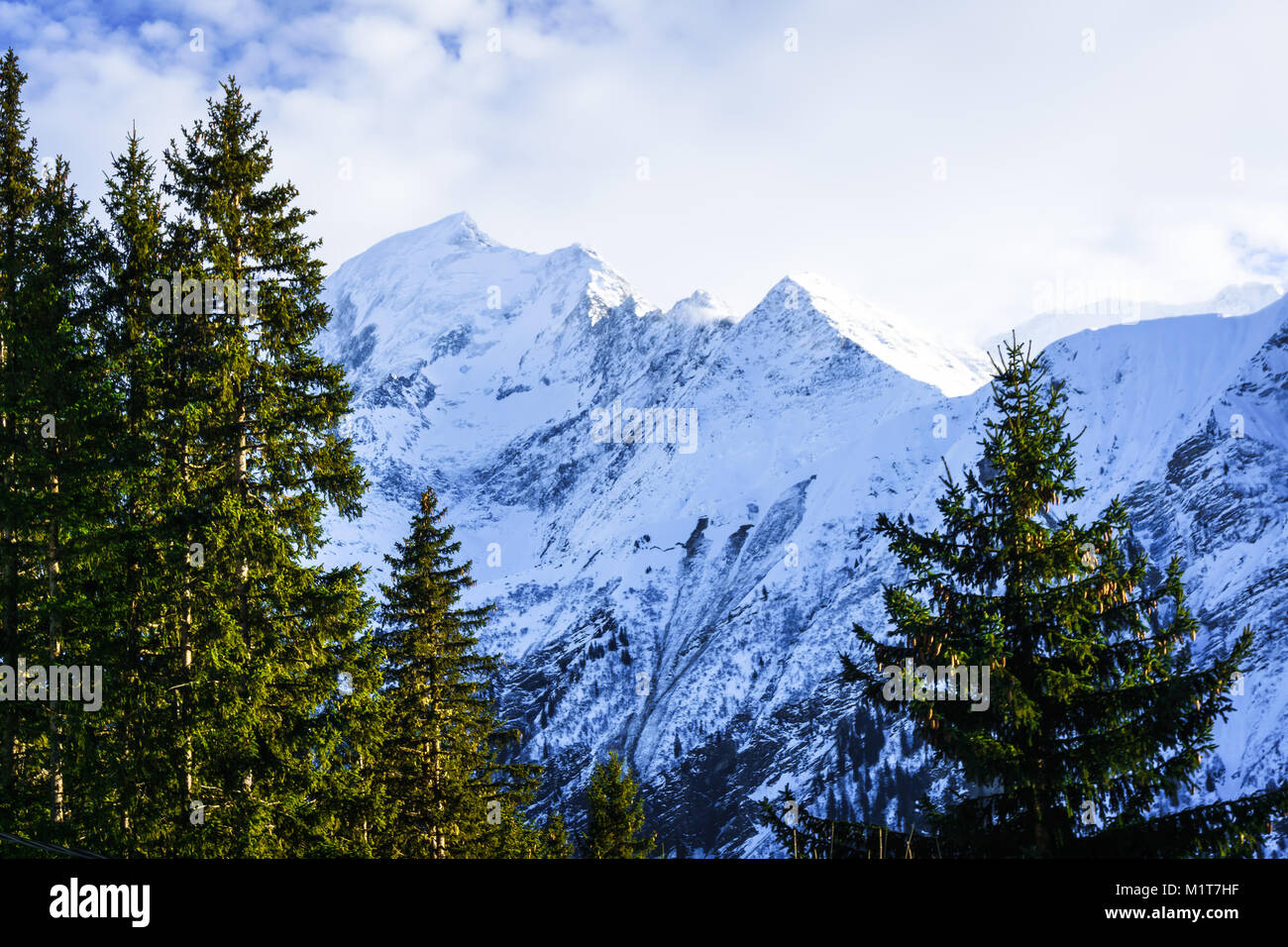 Beautiful landscape of snowy mountain view with a spruce of pine trees in Bellvue Saint-Gervais-les-Bains. Alps mountaintop near Mont Blanc. Stock Photo