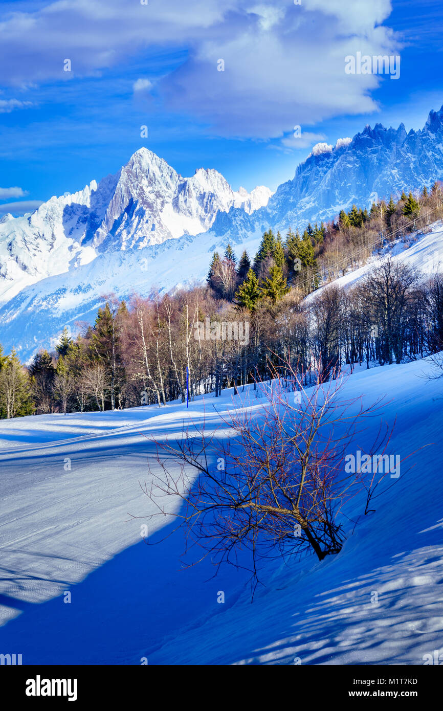 Beautiful landscape of snowy mountain view with a spruce of pine trees in Bellvue Saint-Gervais-les-Bains. Alps mountaintop near Mont Blanc. Stock Photo