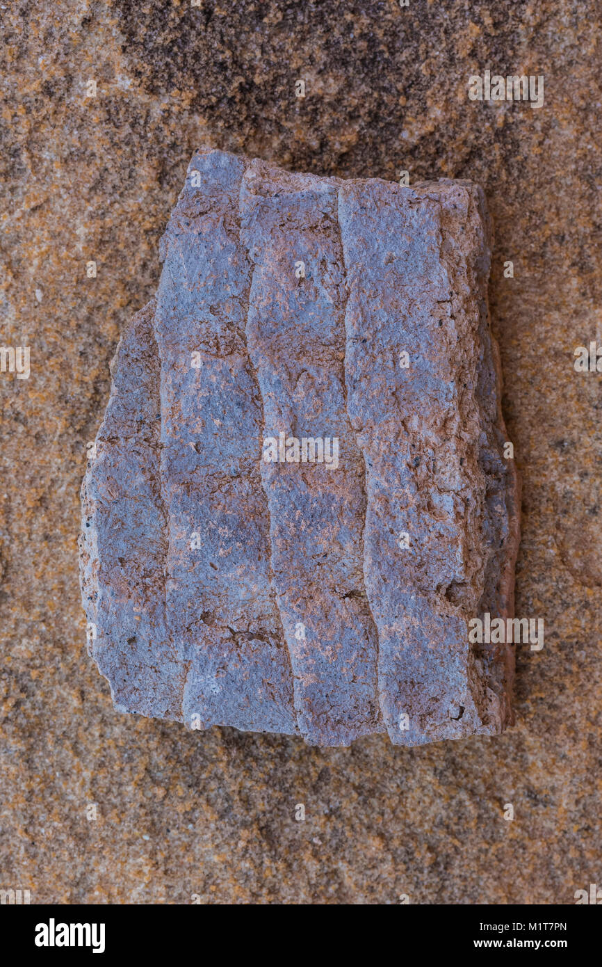 Potsherd in corrugated style left by the Ancestral Puebloan people living at Big Ruin within Salt Creek Canyon in The Needles District of Canyonlands  Stock Photo