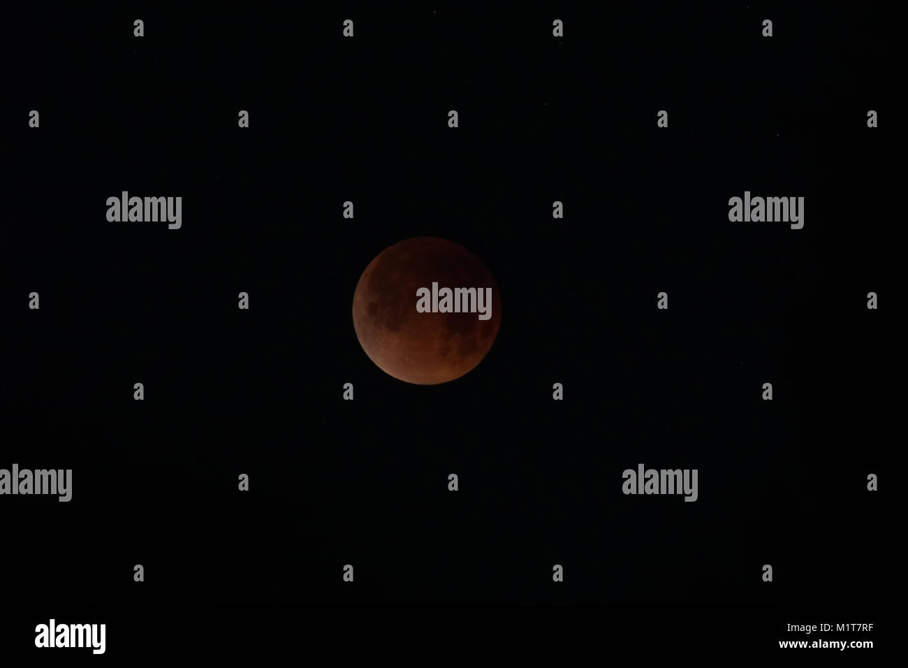 Lunar Eclipse of a Blue Super Moon Stock Photo - Alamy