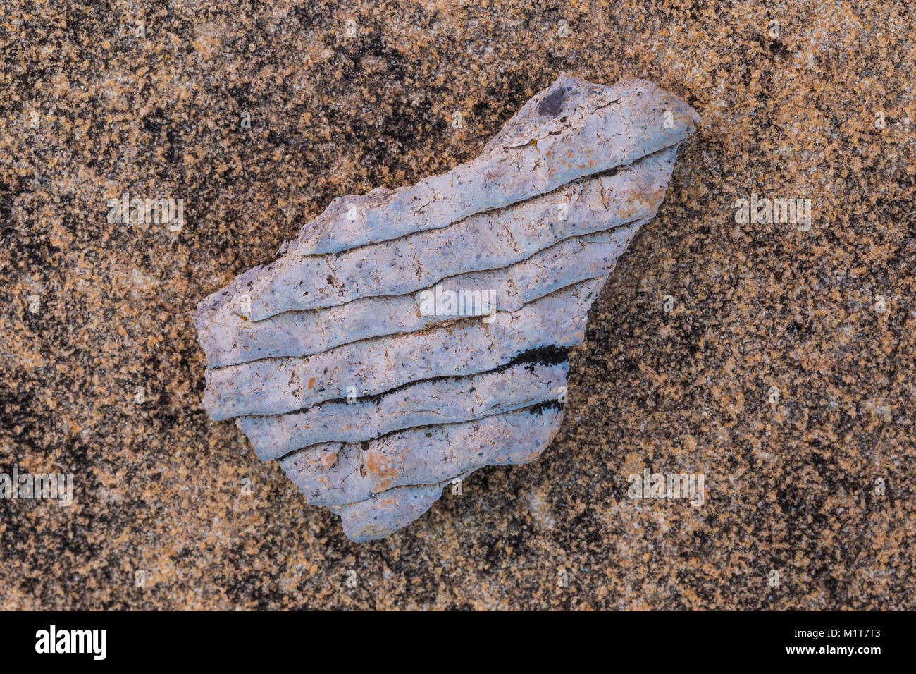 Potsherd lin corrugated style eft by the Ancestral Puebloan people living at Big Ruin within Salt Creek Canyon in The Needles District of Canyonlands  Stock Photo