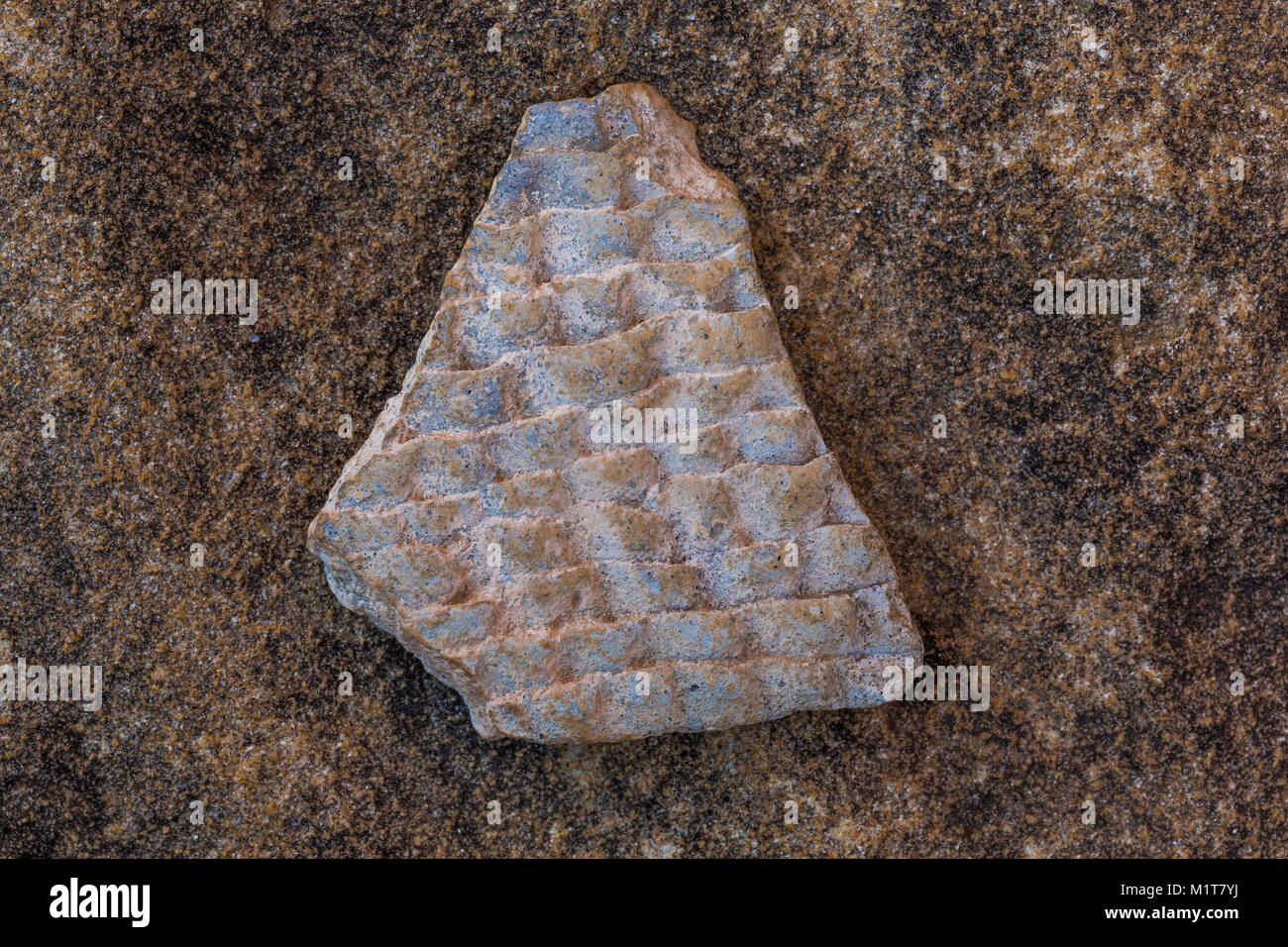 Potsherd in corrugated style left by the Ancestral Puebloan people living at Big Ruin within Salt Creek Canyon in The Needles District of Canyonlands  Stock Photo