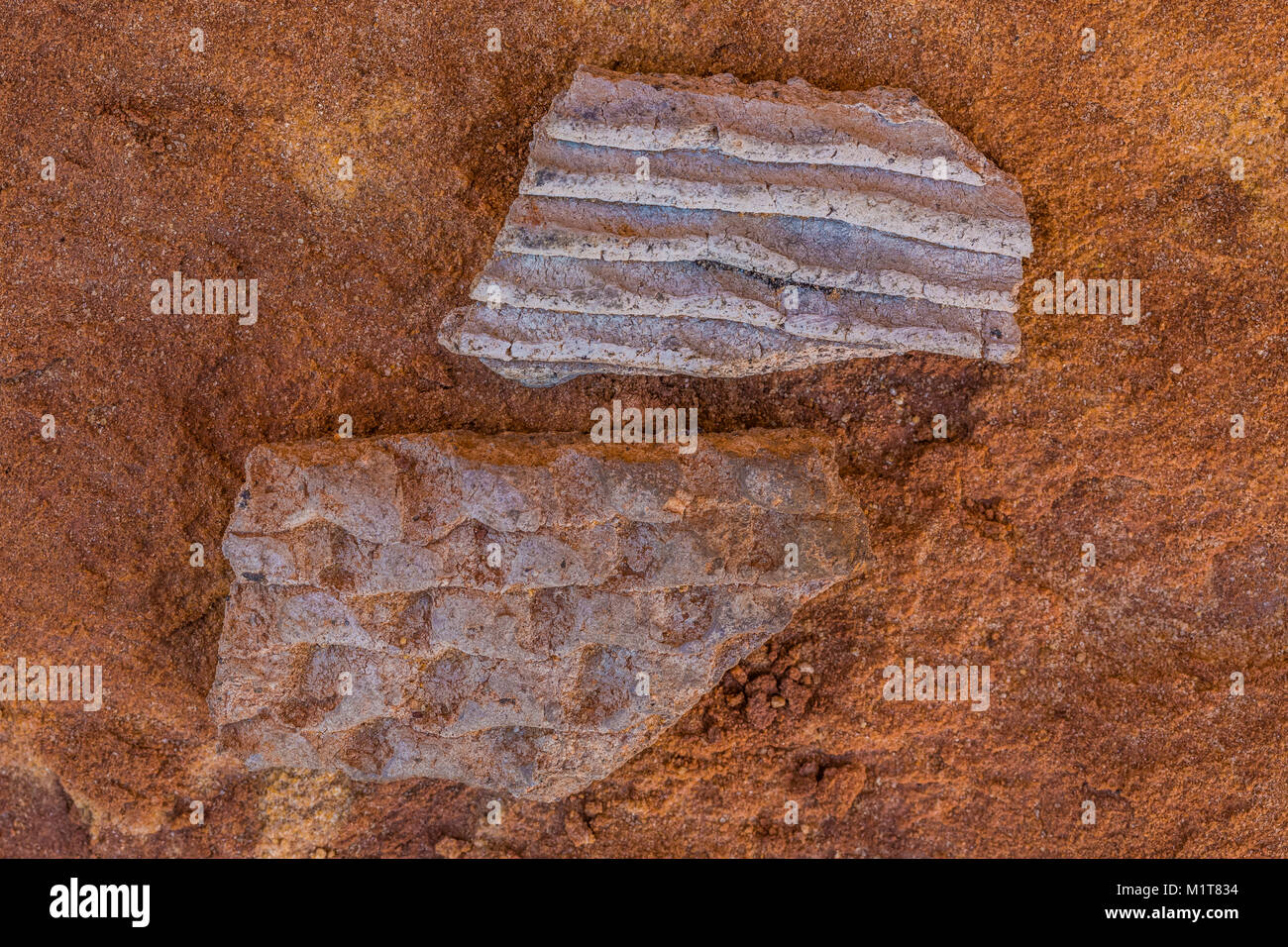 Potsherds in corrugated style left by the Ancestral Puebloan people living at Big Ruin within Salt Creek Canyon in The Needles District of Canyonlands Stock Photo