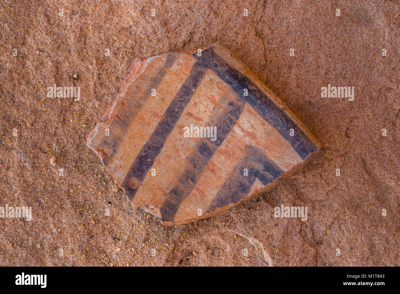 Potsherd in black-on-white style left by the Ancestral Puebloan people living at Big Ruin within Salt Creek Canyon in The Needles District of Canyonla Stock Photo