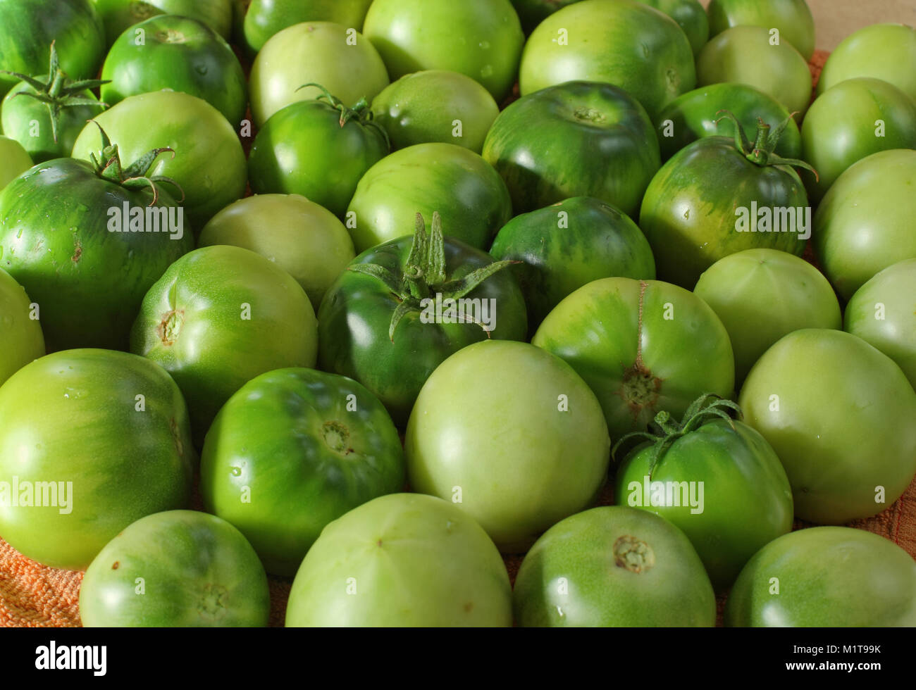 Bushel of tomatoes hires stock photography and images Alamy