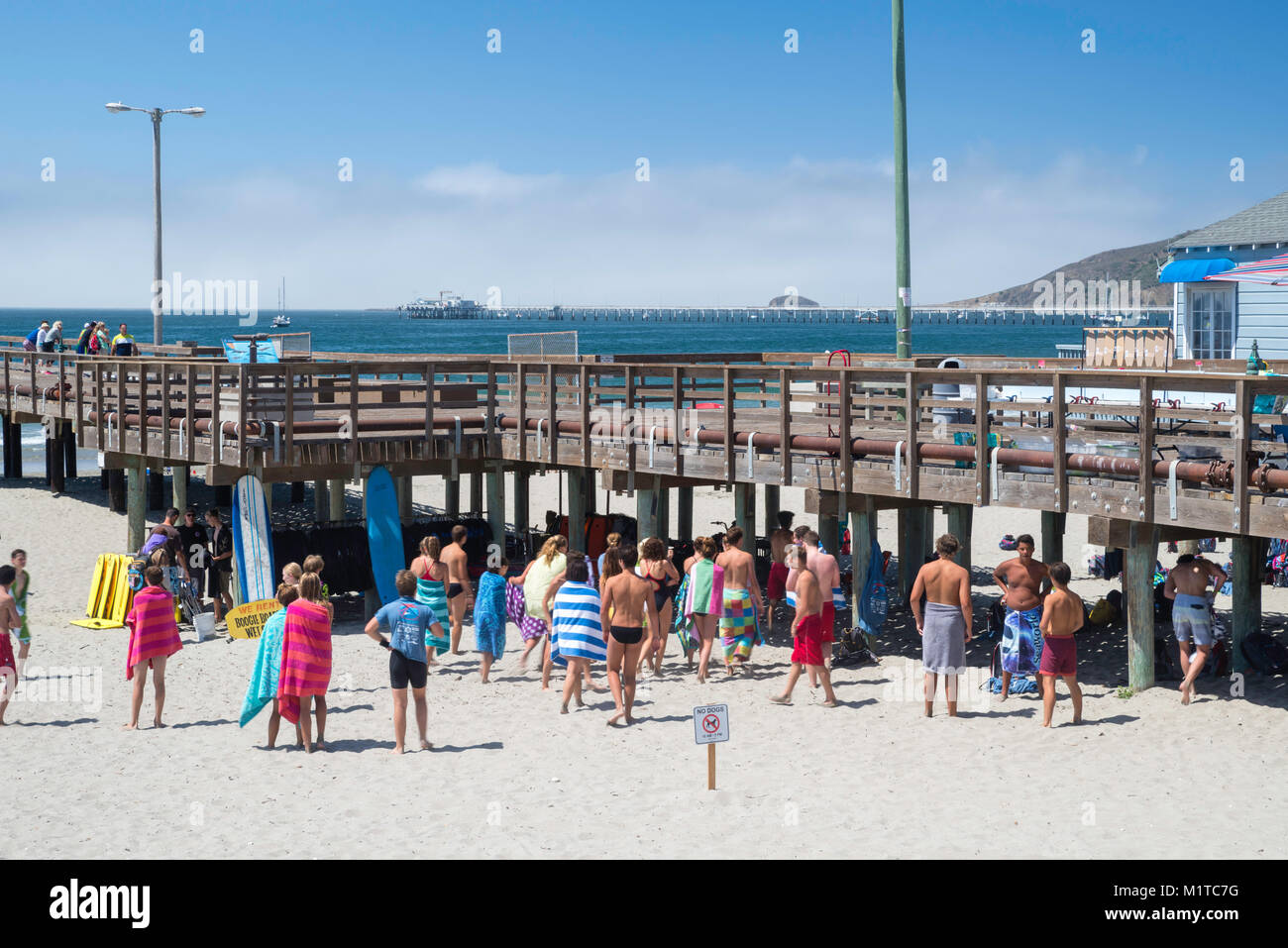 Lifeguard training at Avila Beach, California, USA Stock Photo Alamy