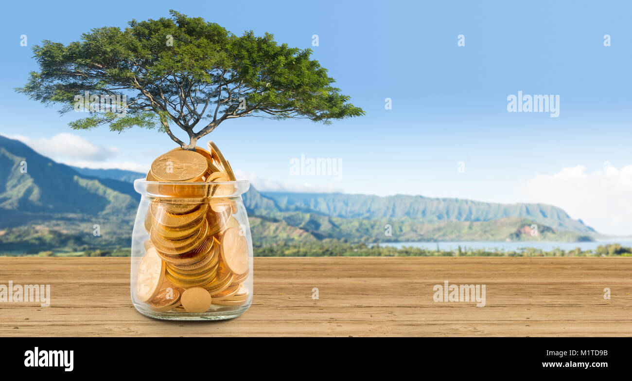Concept image of wealth growing on trees out of gold coins Stock Photo