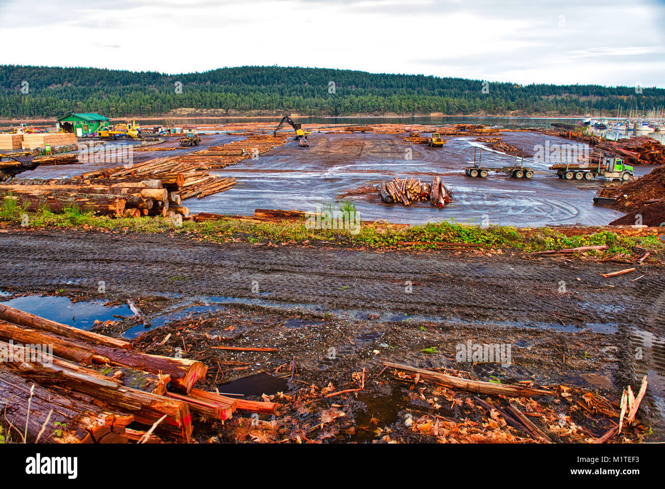 View of timber and logging industry in Ladysmith, Vancouver Island