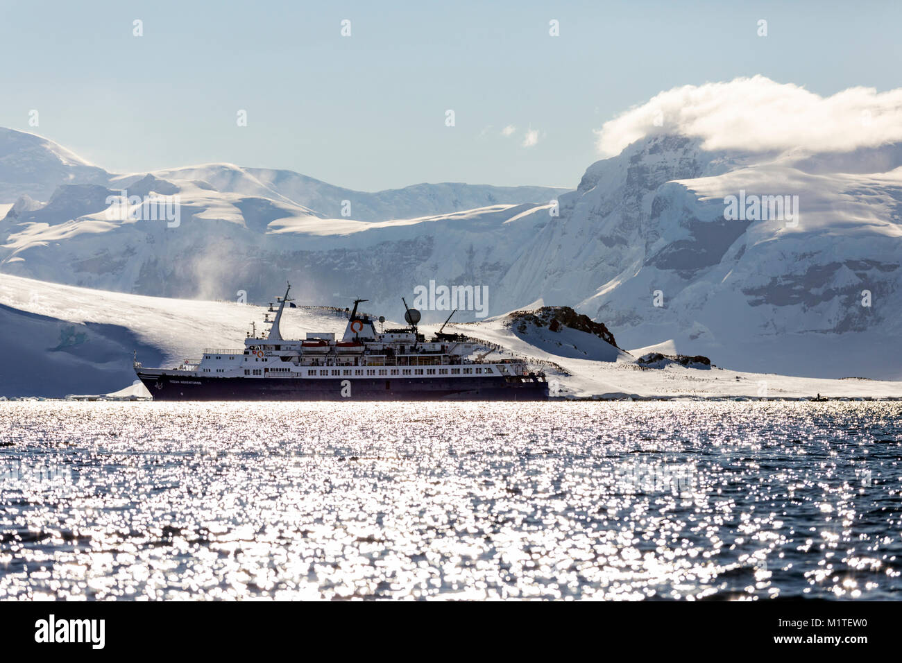 Passenger ship Ocean Adventurer carries alpine mountaineering skiers to Antarctica; Ronge Island; Arctowski Peninsula; Gentoo Penguins beyond Stock Photo