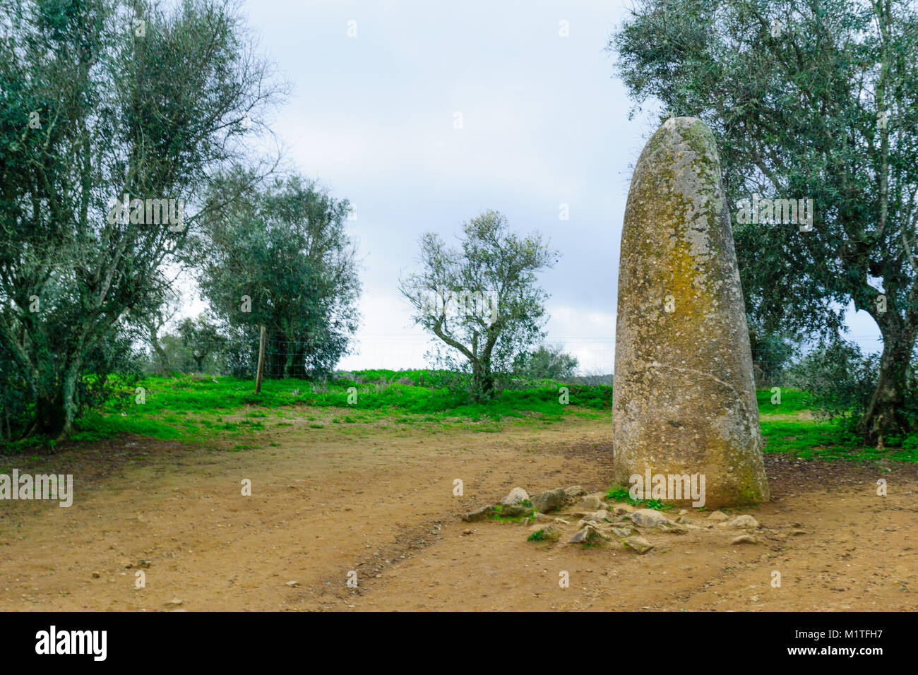 The Menir dos Almendres, megalithic site near the village of Nossa Senhora de Guadalupe, Portugal Stock Photo