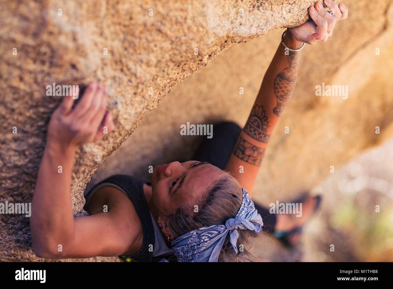 Closeup of petite asian woman rock climbing outdoors concentrates on the challenge Stock Photo