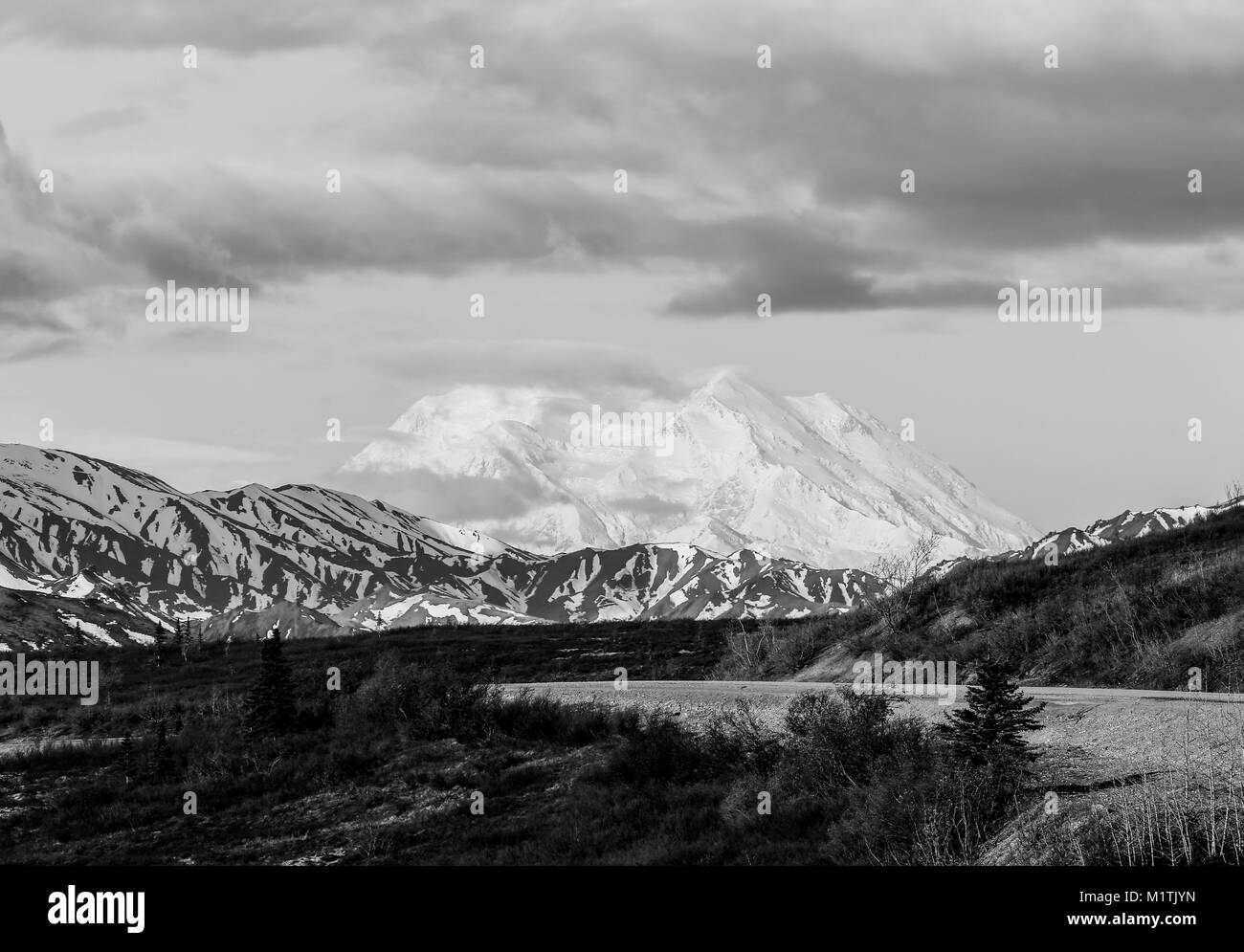 Denali National Park in Alaska with the snow covered Denali Peak in the background Stock Photo