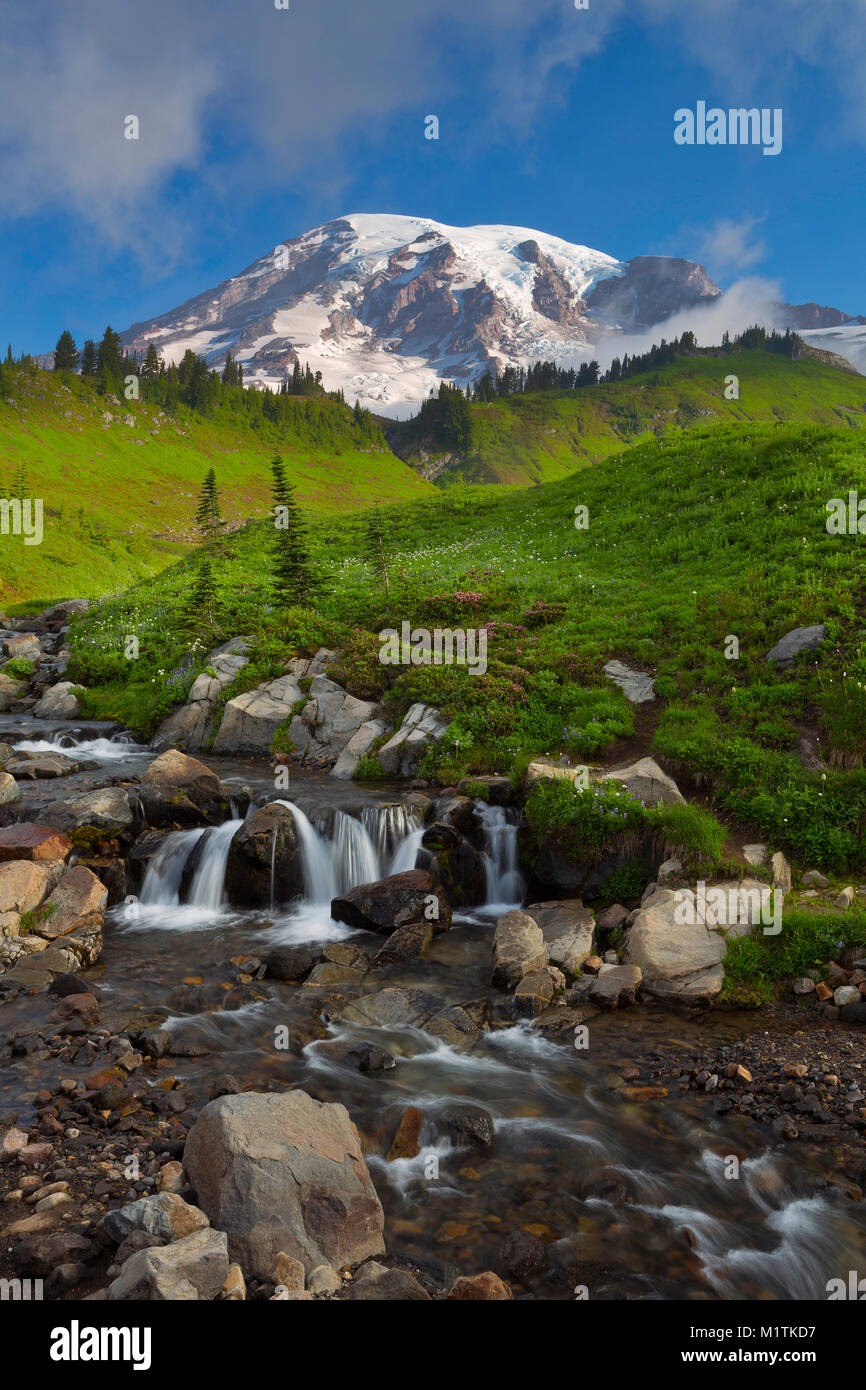 A view of Edith Creek and the meadows of Mount Rainier in Mount Rainier National Park. Washington. summer. USA Stock Photo
