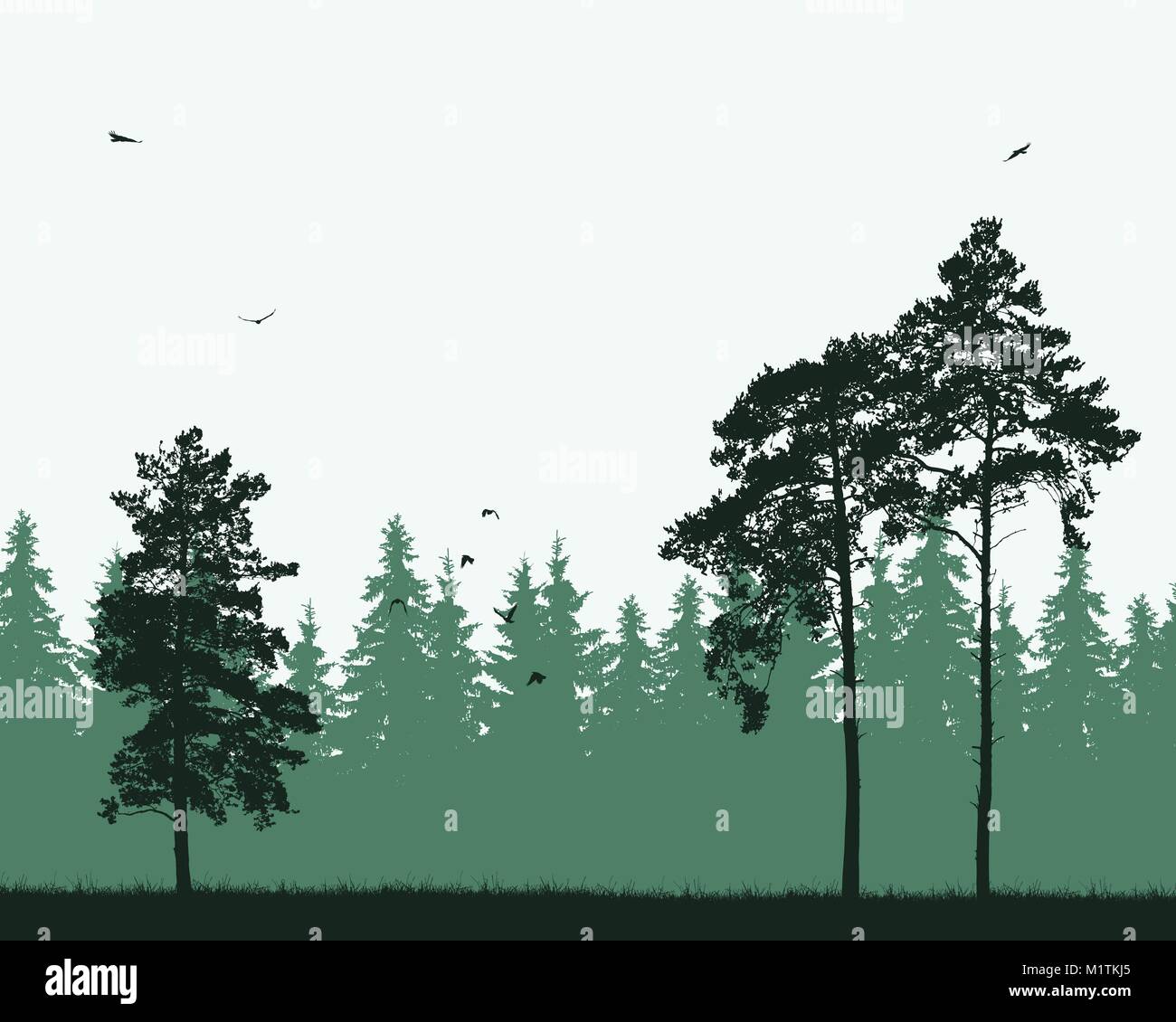 Vector illustration of coniferous and pine forest with flying ...