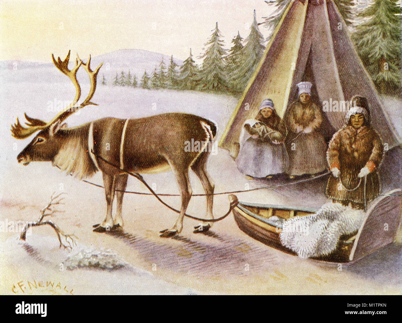 Halftone illustration of Lapplanders with a reindeer at their camp, circa 1900. The baby has been laced into an animal skin to keep it warm. From an original image in How Other People Live by H. Clive Barnard, 1918. Stock Photo
