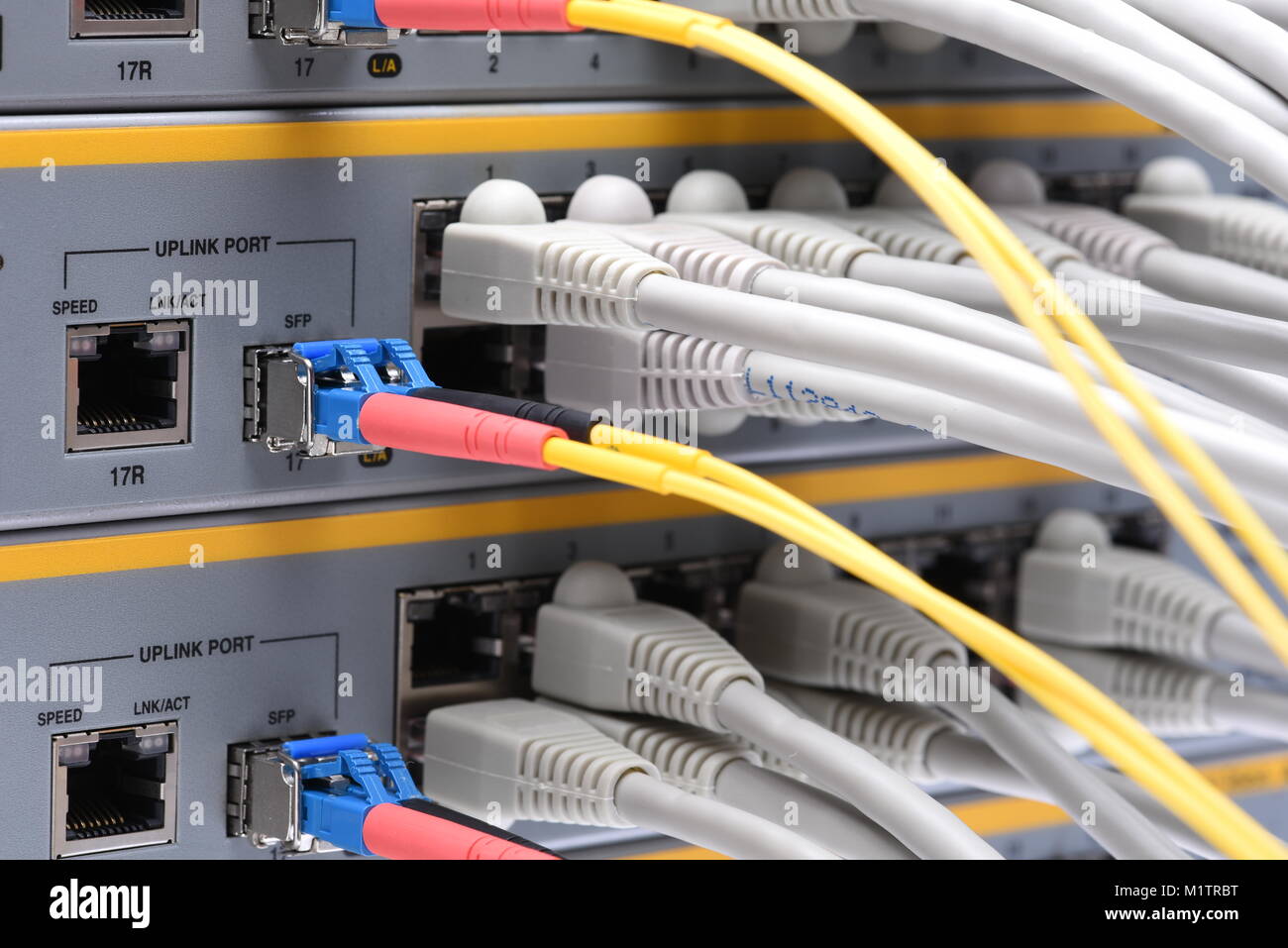 Ethernet network and fiber optic cable connected to internet switch Stock  Photo - Alamy