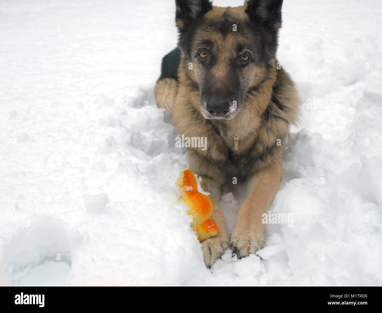 Defensive body language hi-res stock photography and images - Alamy