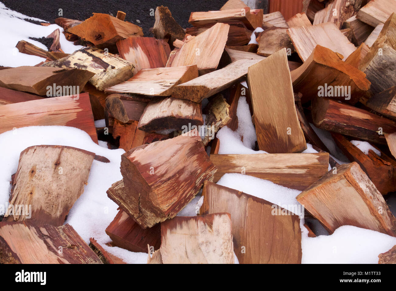 bunch of wet logs in winter snow, south of Chile. Leña mojada en la nieve, troncos para chimenea. Stock Photo