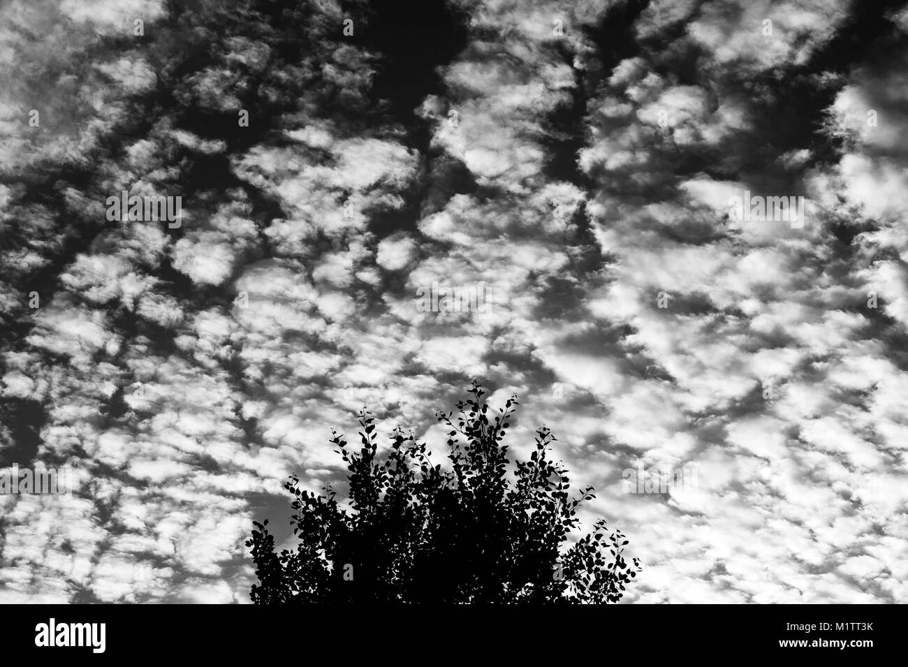 Peaceful view fluffy clouds Black and White Stock Photos & Images - Alamy