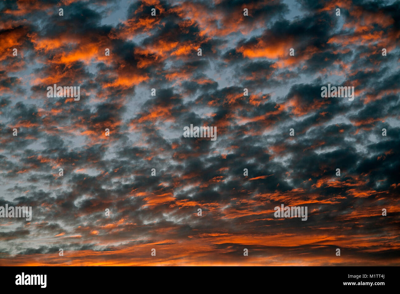 Climate light atmospheric hi-res stock photography and images - Alamy