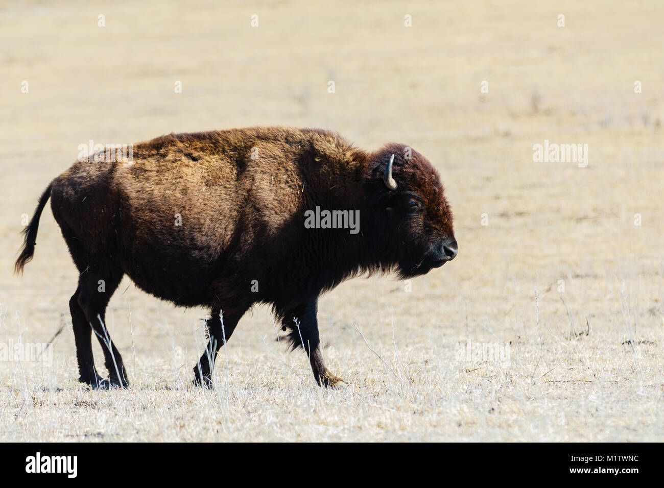 Baron Landscape High Resolution Stock Photography and Images - Alamy
