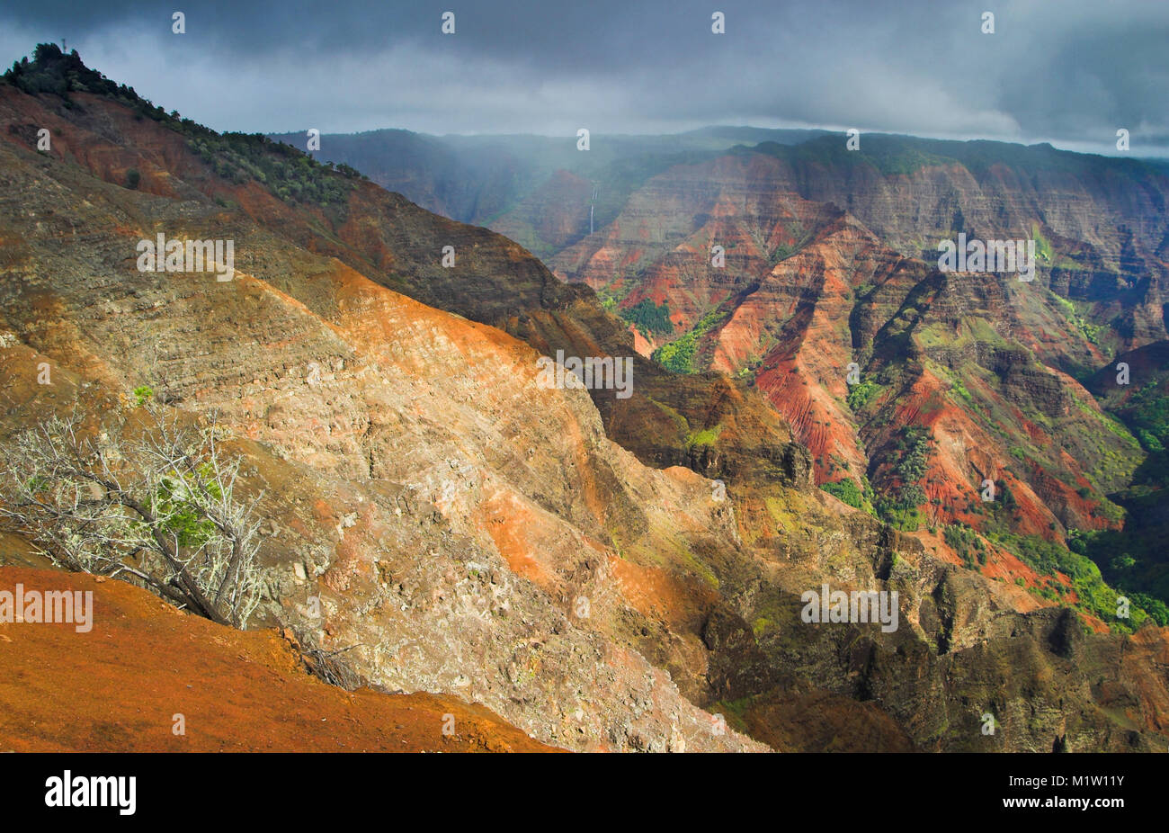 Aerial view into Waimea Canyon, also known as the Grand Canyon of the