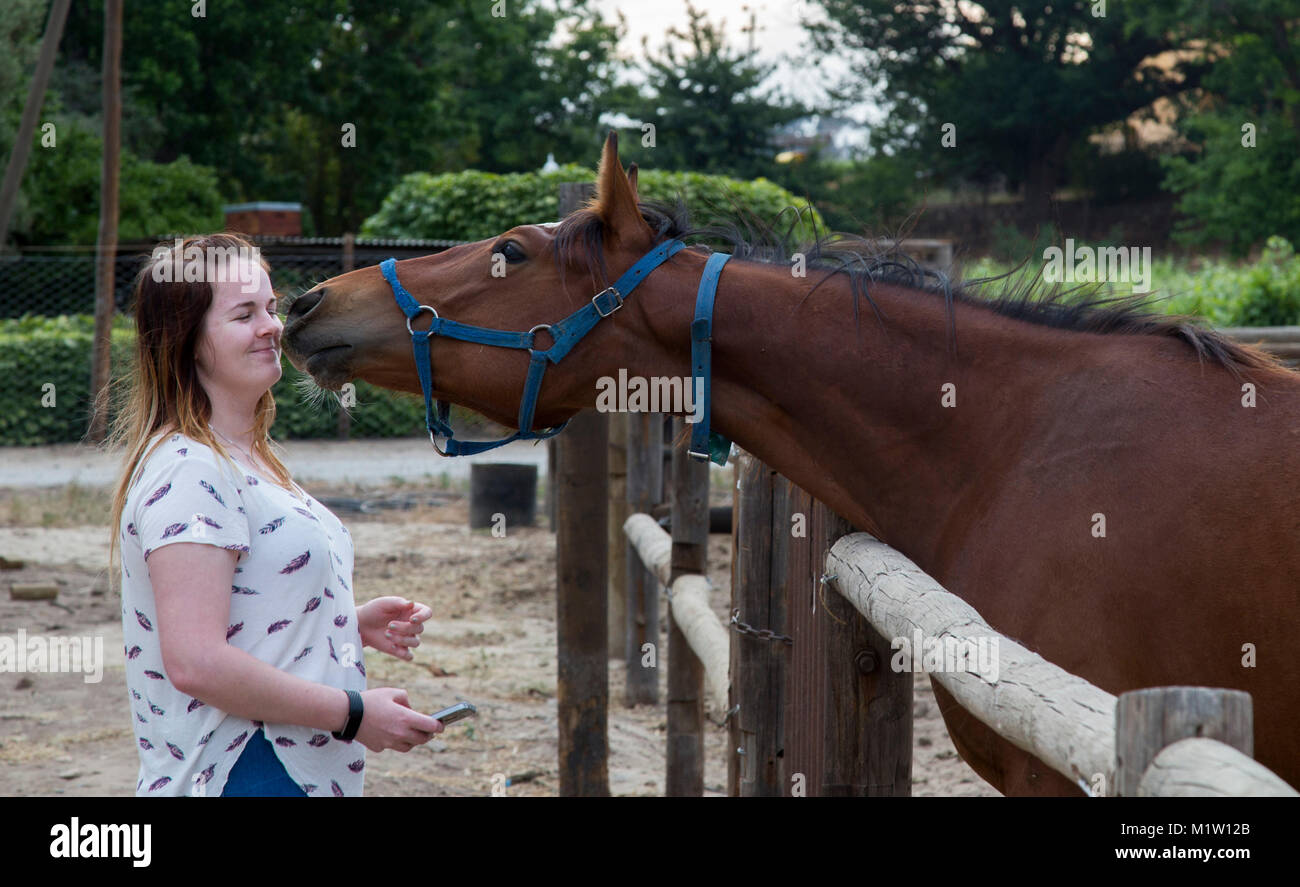 Curious horse smelling a young woman's face Stock Photo