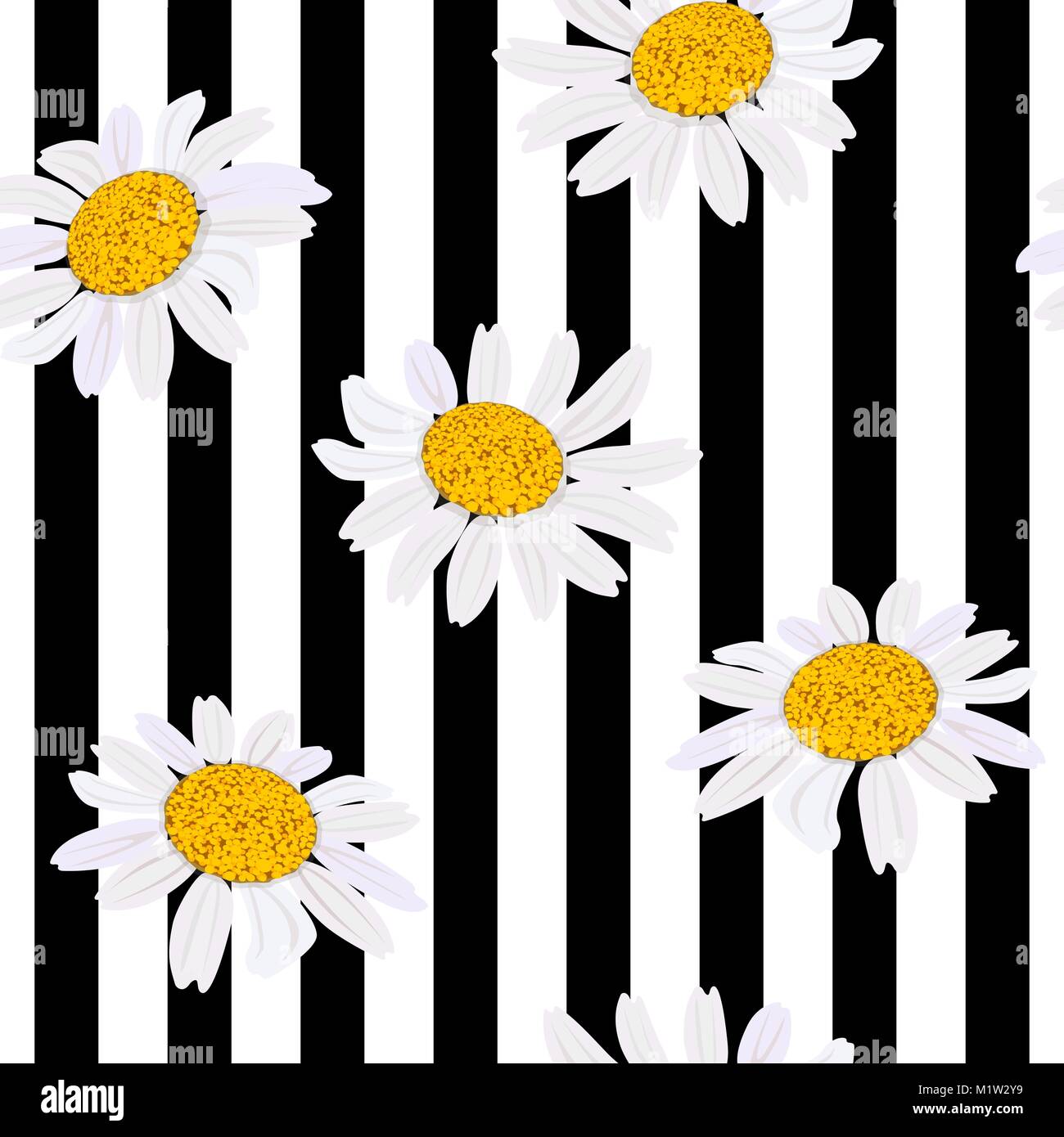 Daisy flowers. Seamless pattern. Vector illustration. black and white