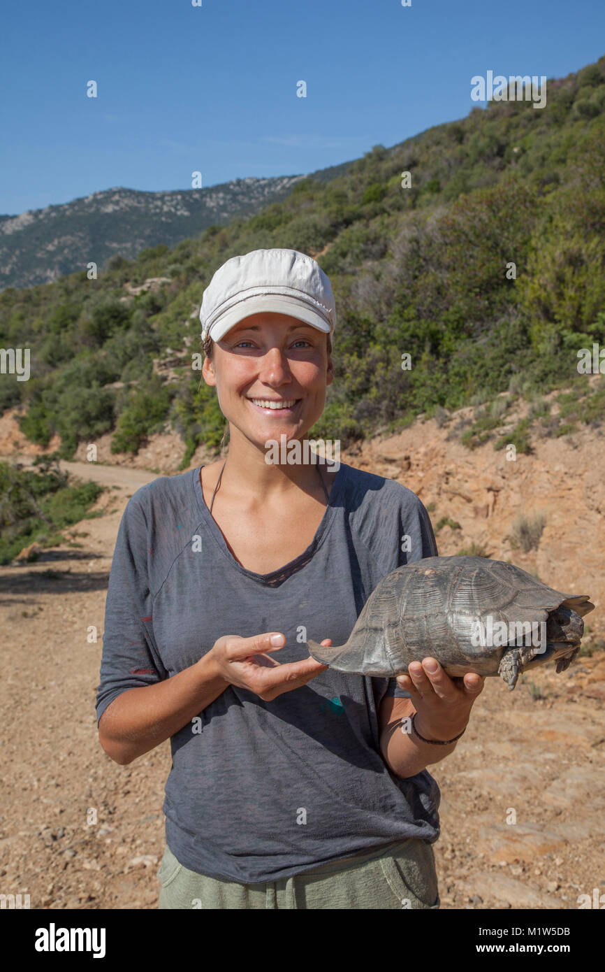 turtle Stock Photo