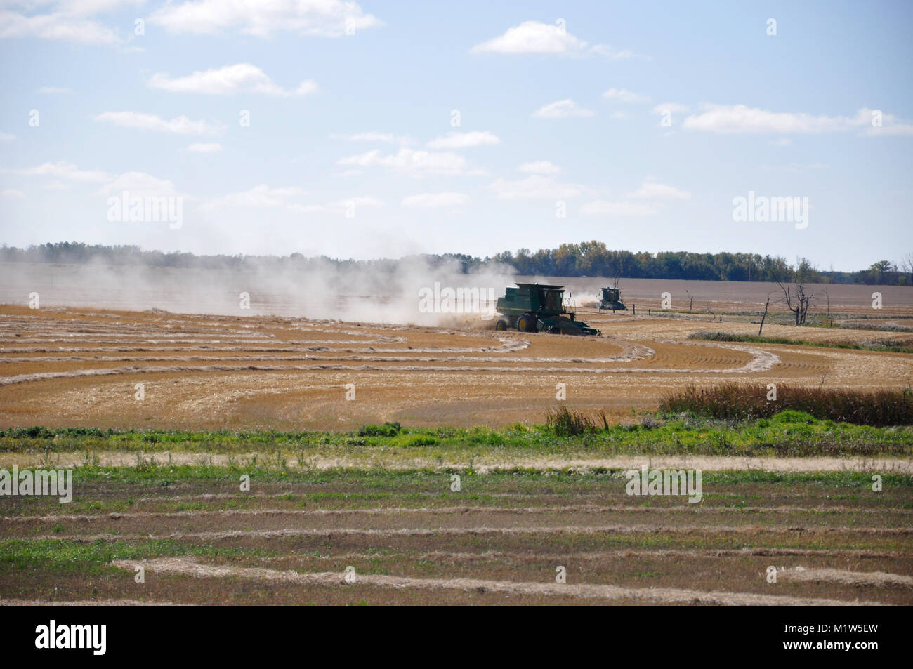 Harvesting north of Churchbridge, Saskatchewan, Canada, September 21st