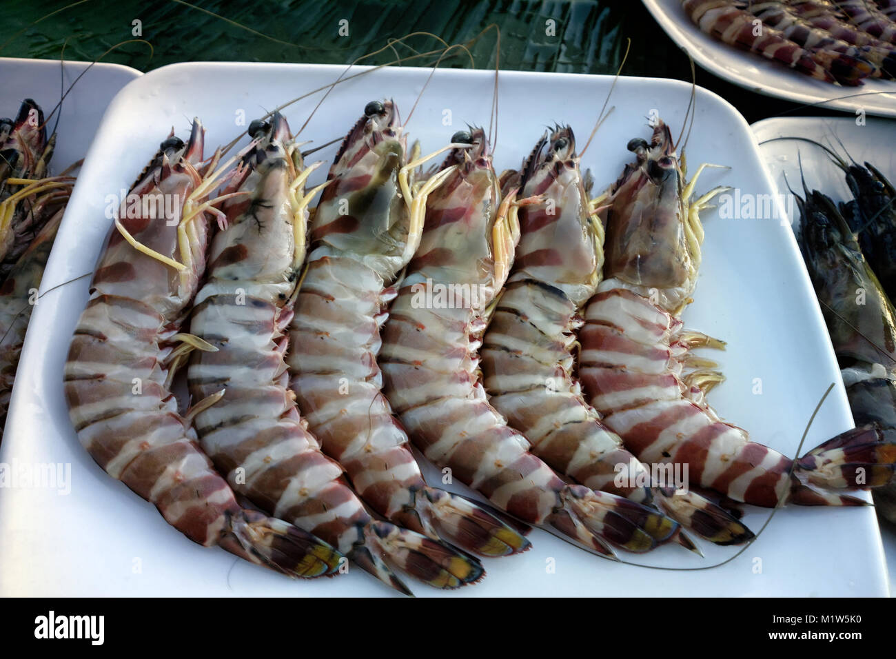 Giant tiger shrimp (Penaeus) on fish market, fishing auction in province of Kerala, India. Arabian sea Stock Photo