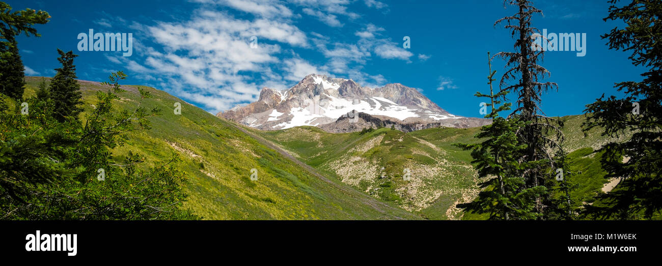 Mt. hood, cascade range, under summer skies in Oregon Stock Photo Alamy