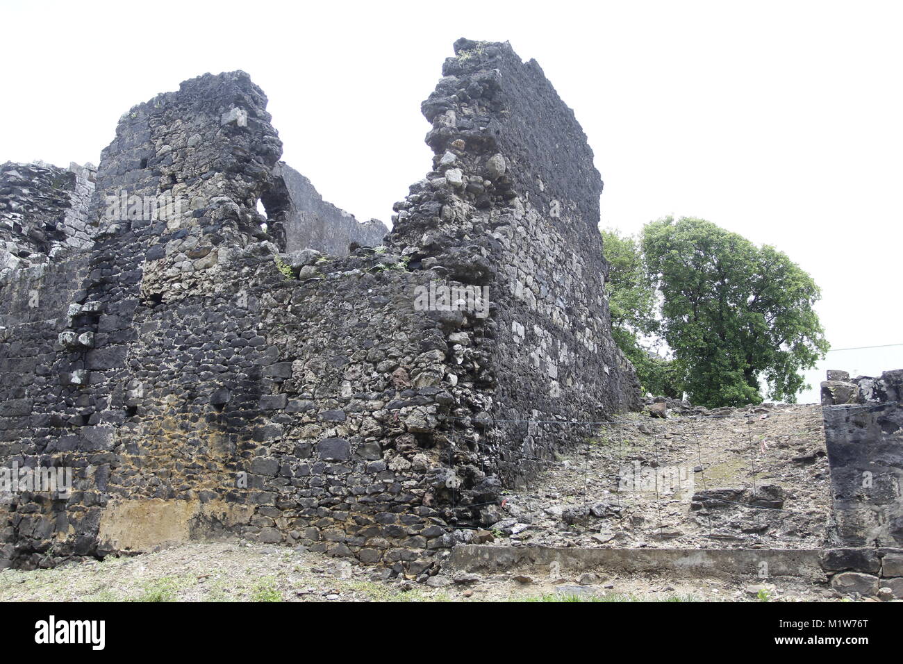 When Simonsz Gooyer, the first Dutch Governor of Mauritius, and his men