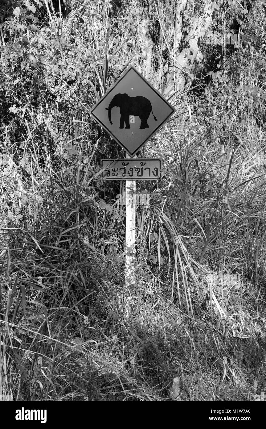 Elephant Warning Road Sign in Thailand Stock Photo