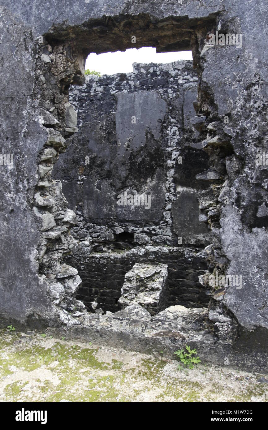 When Simonsz Gooyer, the first Dutch Governor of Mauritius, and his men