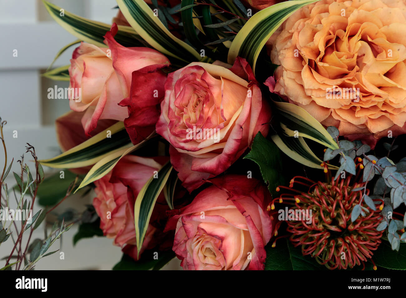 Bouquet of flowers including roses, orchids, pincushion proteas and