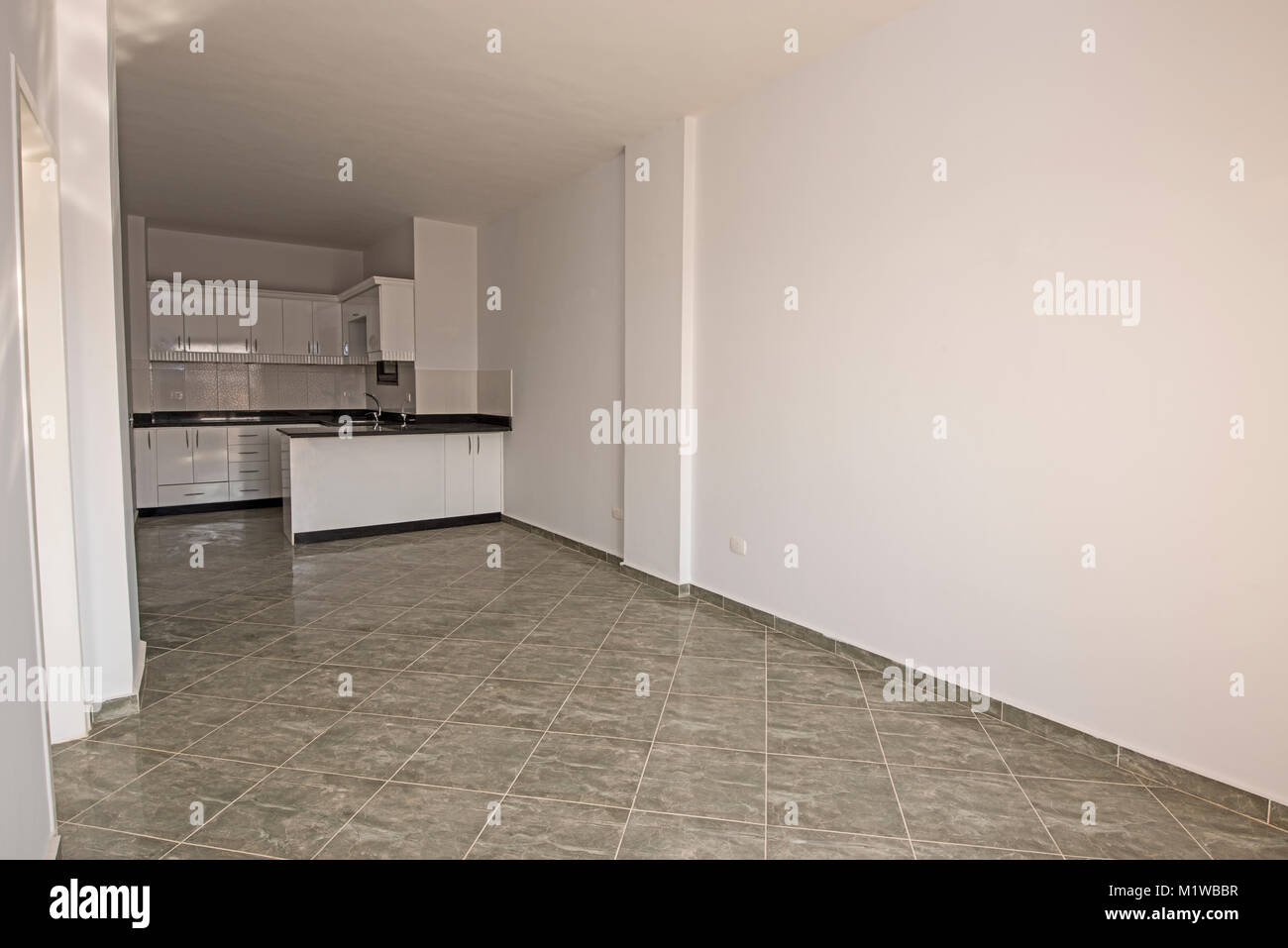 Interior decor kitchen design with appliances and furnishings in luxury ...