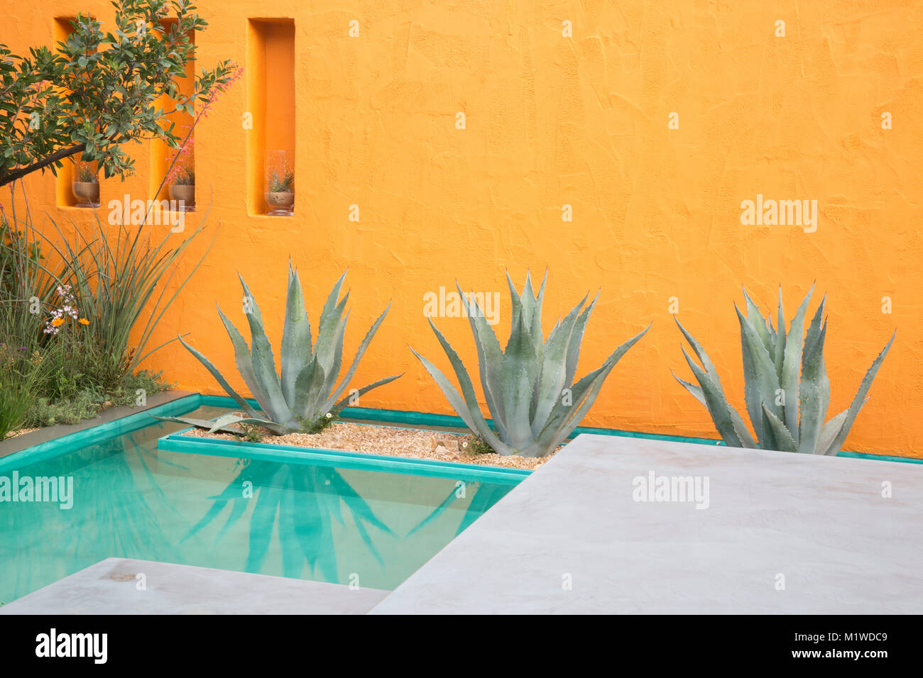 water feature small pond with agave cactus rendered painted orange wall Beneath A Mexican Sky garden - Designer Manoj Malde - Chelsea Flower Show UK Stock Photo