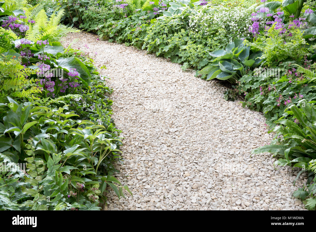 Curved gravel garden path leading through a cottage wild garden, Chelsea Flower show, Stock Photo
