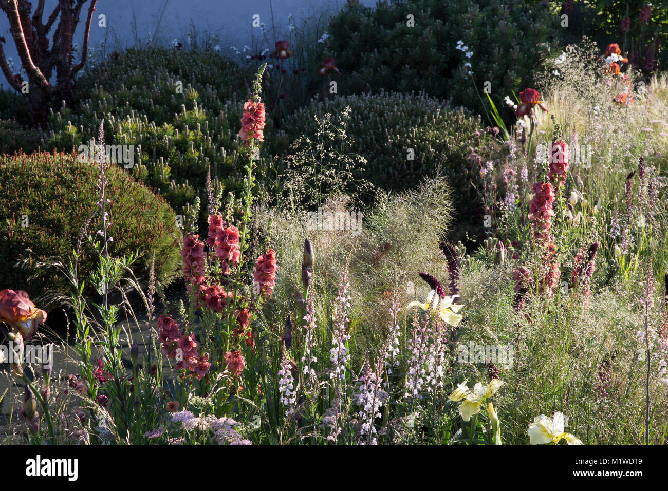 The BBC Radio 2 Jeremy Vine Texture Garden, RHS Chelsea Flower Show 2017 Stock Photo