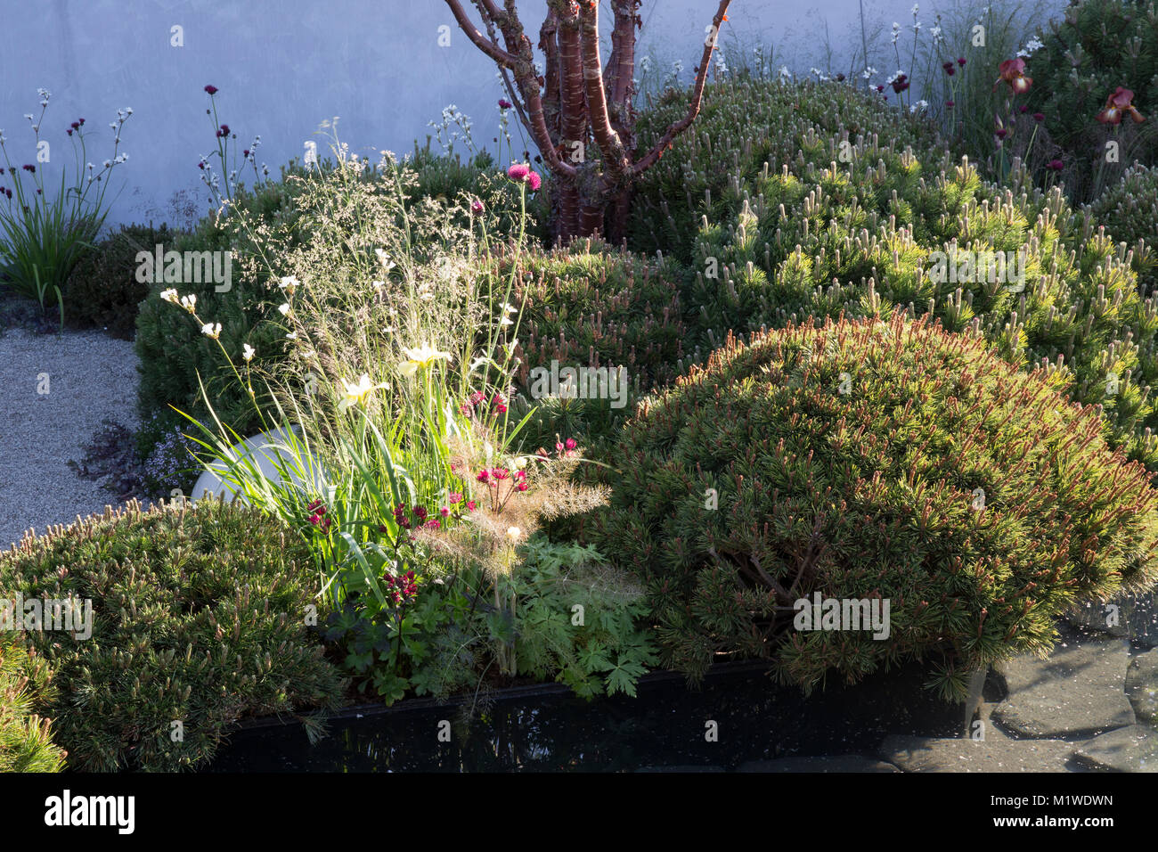 The BBC Radio 2 Jeremy Vine Texture Garden, RHS Chelsea Flower Show 2017 Stock Photo