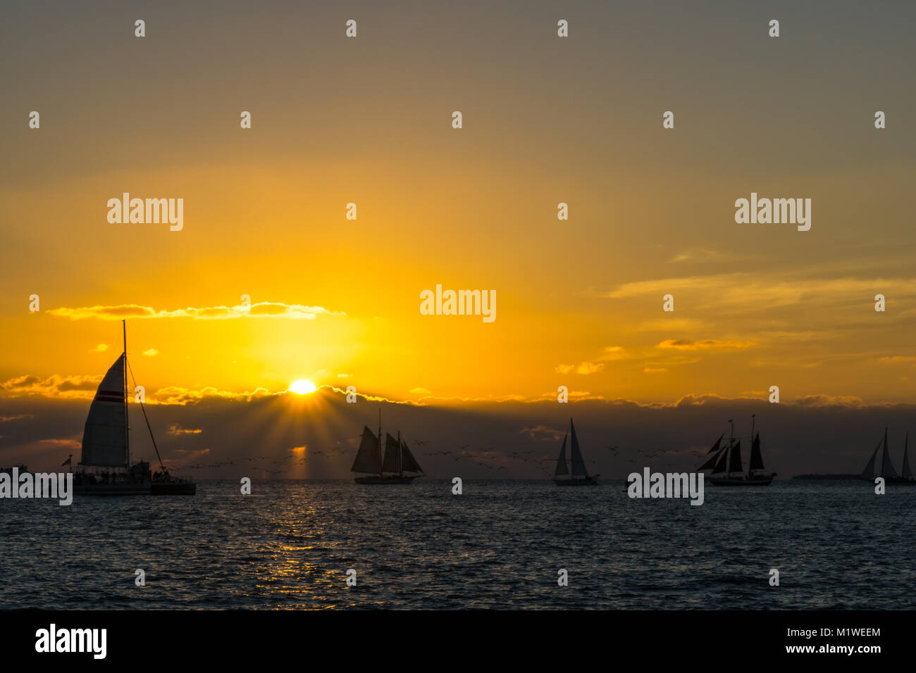 USA, Florida, Spectacular sunset at key west with many sailboats on the water and orange sky Stock Photo