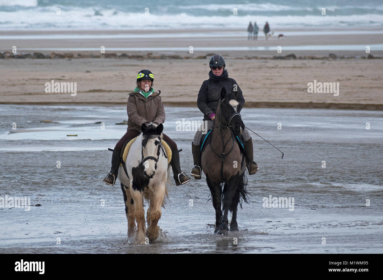 Perranporth beach, Cornwall, 2nd Feb 2018. UK Weather. A low tide and light winds made for ideal riding conditions on the beach at Perranporth in Cornwall. Credit: Kevin Britland/Alamy Live News Stock Photo